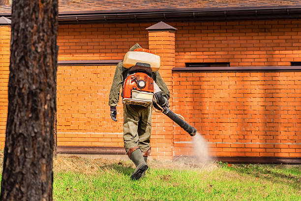 Trusted Ant Control service in Big Beaver, PA - Nex Pest Control